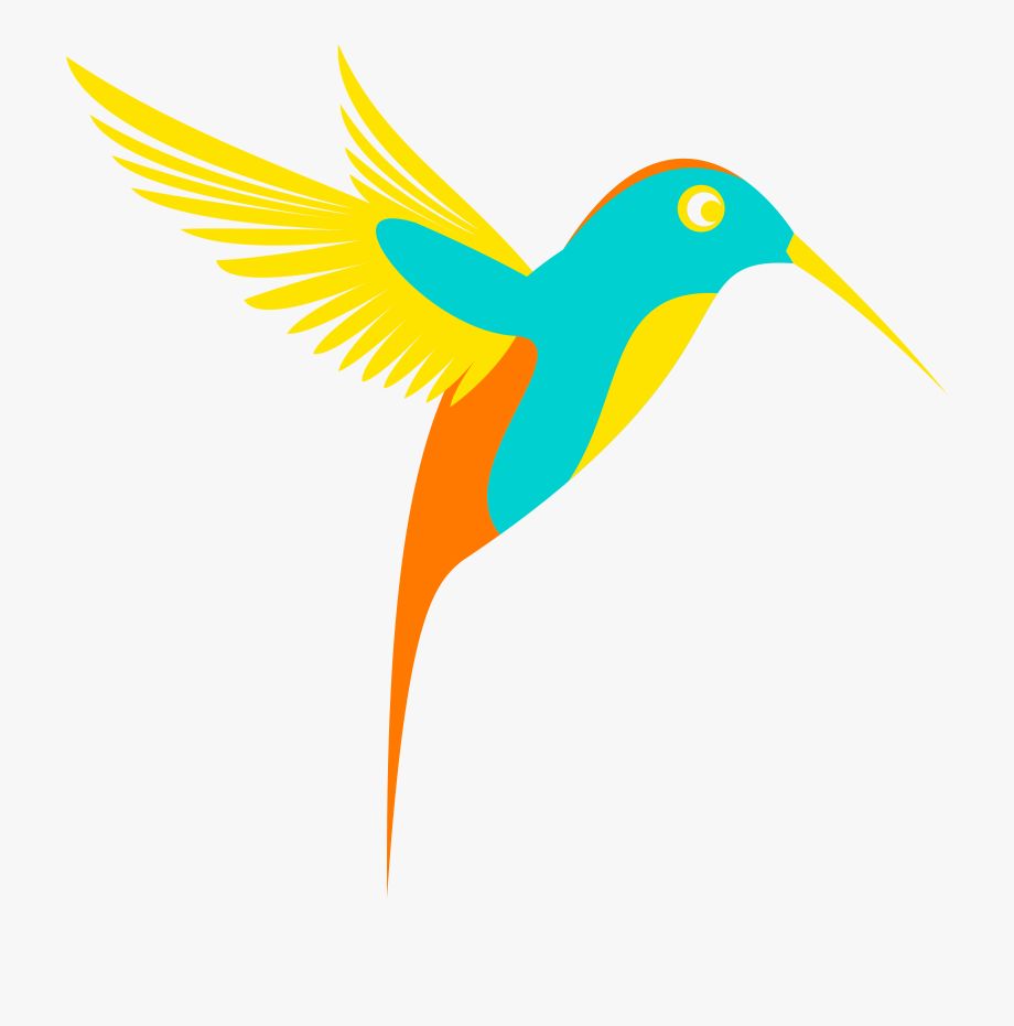 Colibri Colorful Bird Vector Clipart.