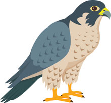 Free Bird Clipart.