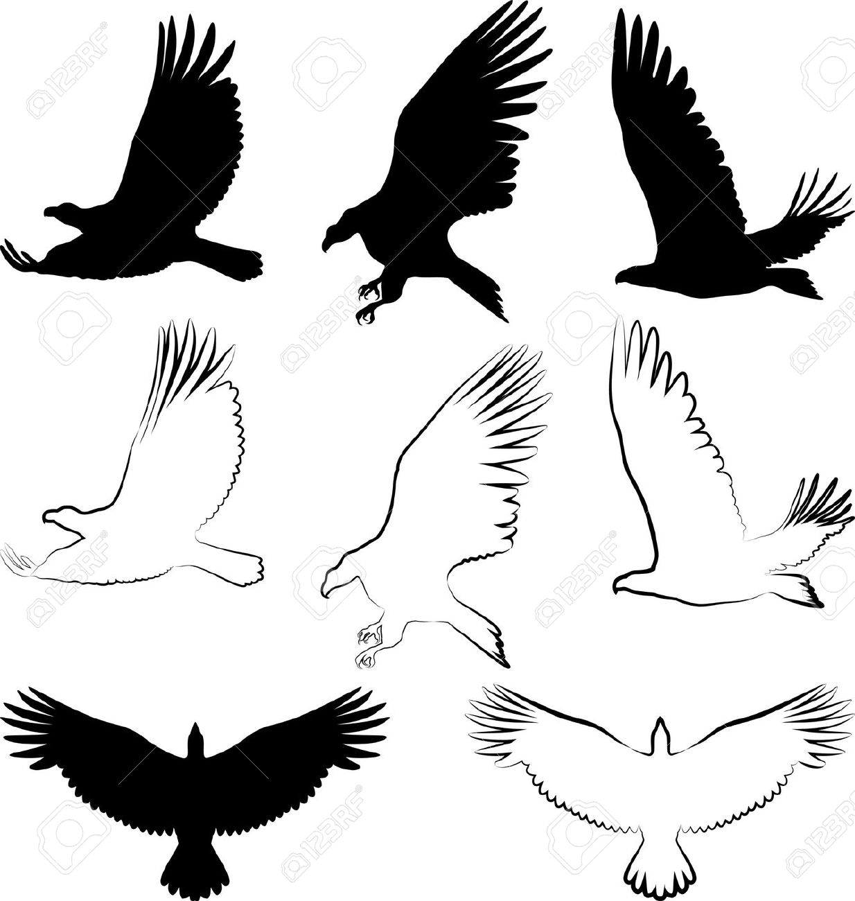 Silhouette Of Hawk And Eagle Royalty Free Cliparts, Vectors, And.