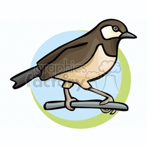 Brown and cream colored little bird perched on a branch clipart.  Royalty.