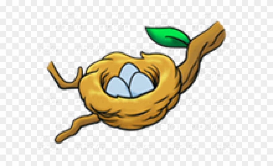 Birds Nest Clipart Branch.