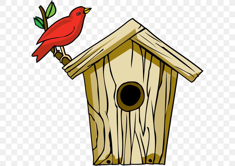 Bird Nest Box Website Clip Art, PNG, 600x578px, Bird, Beak.