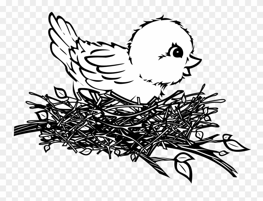 Bird In A Nest Art.