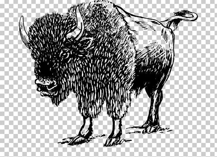 American Bison PNG, Clipart, American Bison, Art, Bison.