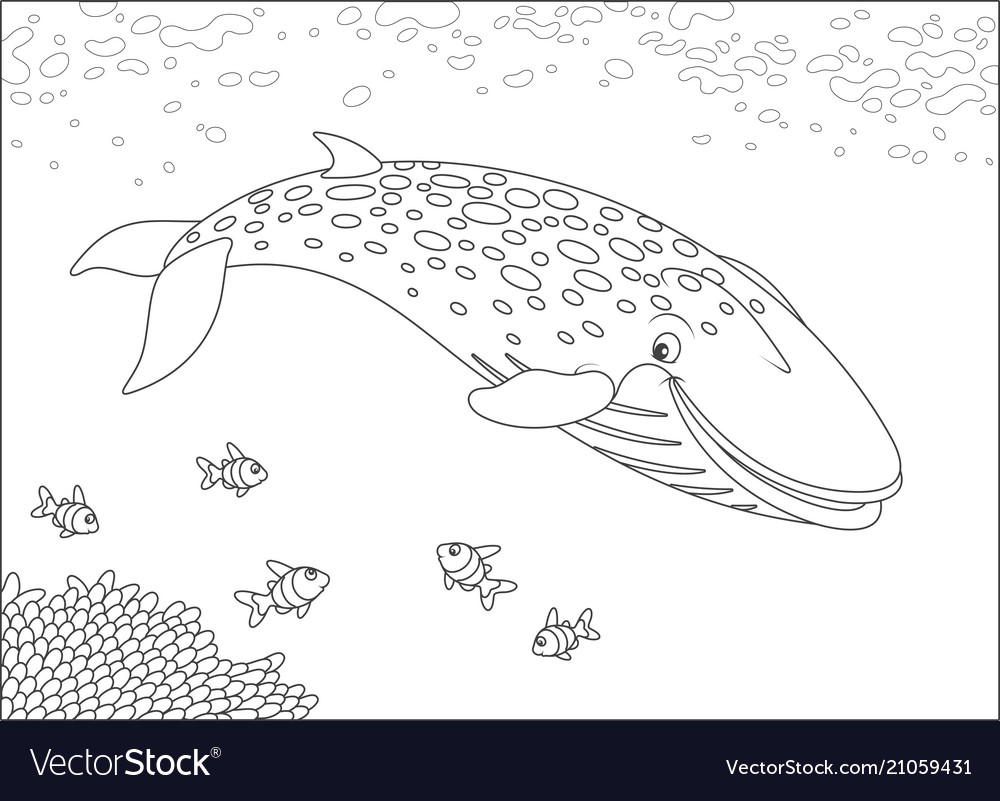 Blue whale swimming with small fishes.