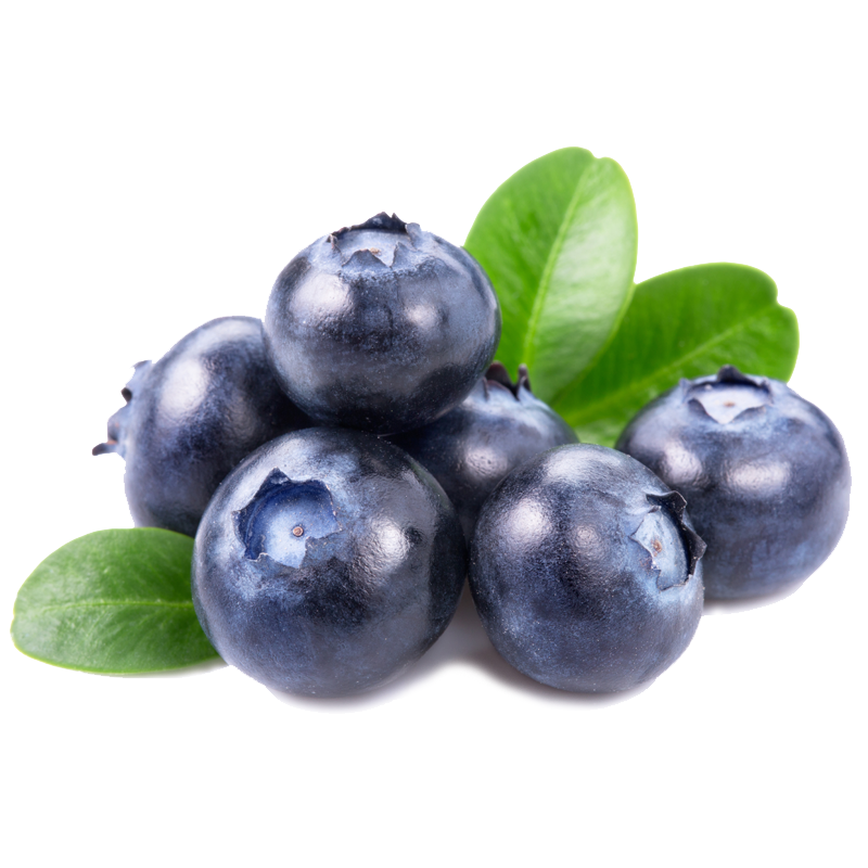 Chile Blueberries (125g).