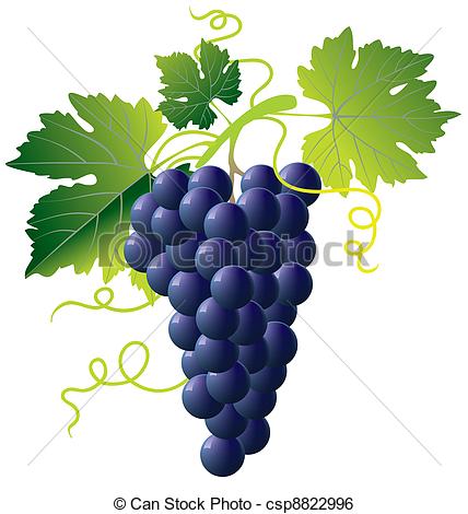 Clip Art Vector of bunch of blue grapes isolated with green leaves.