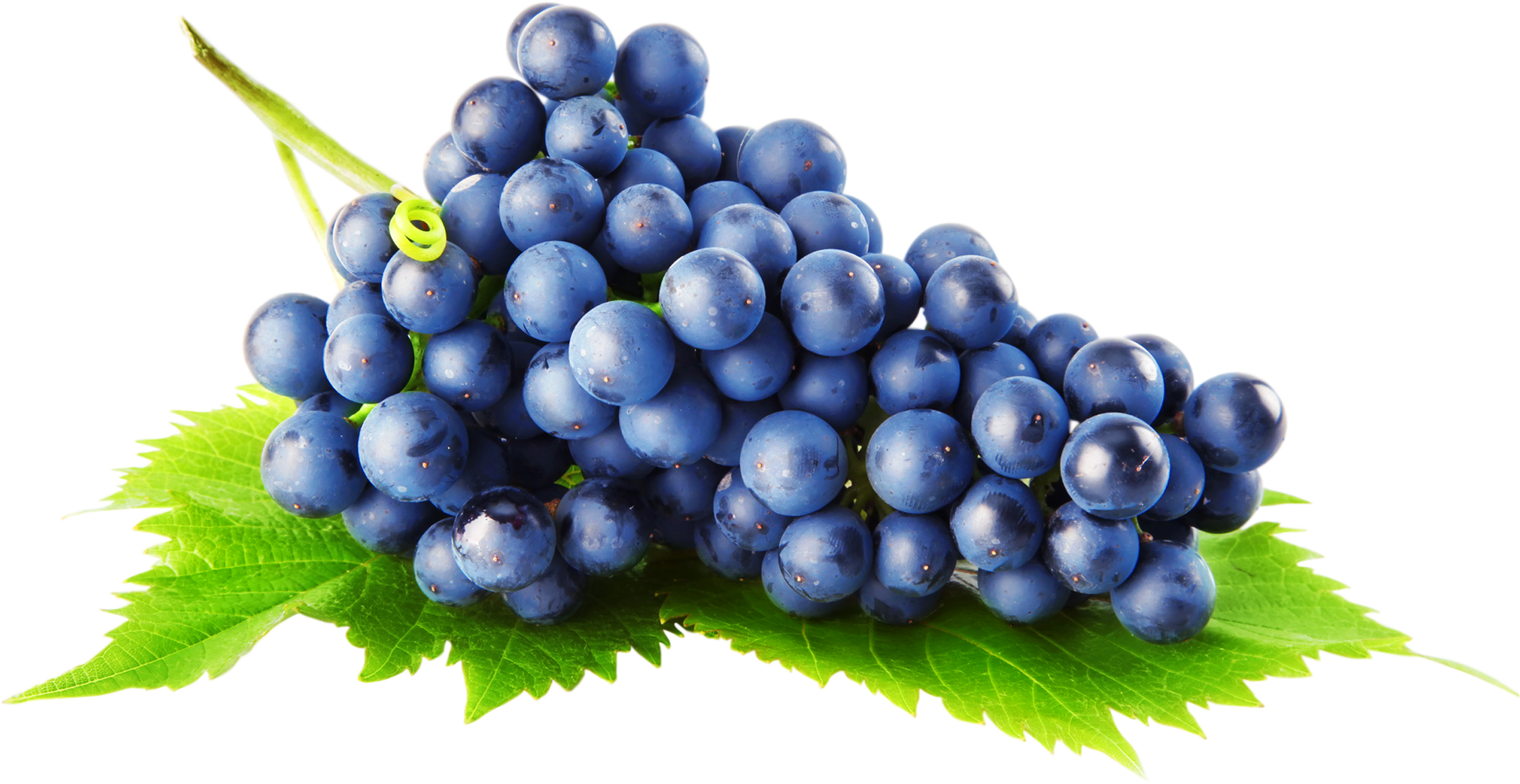 Grape PNG image, free picture download.