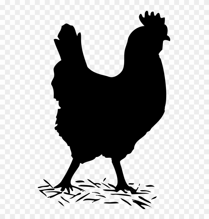 Chicken Clipart Track.