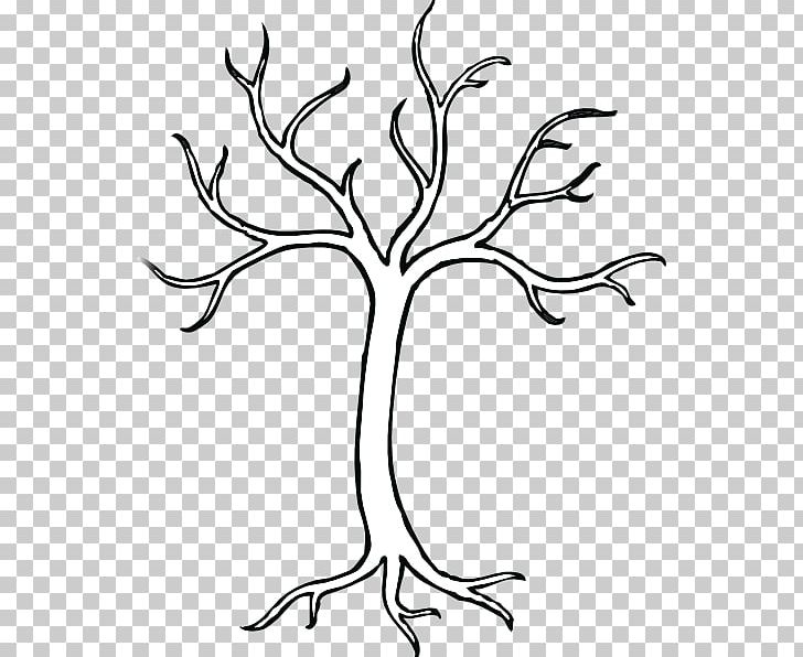 Tree Trunk Drawing PNG, Clipart, Area, Black And White.