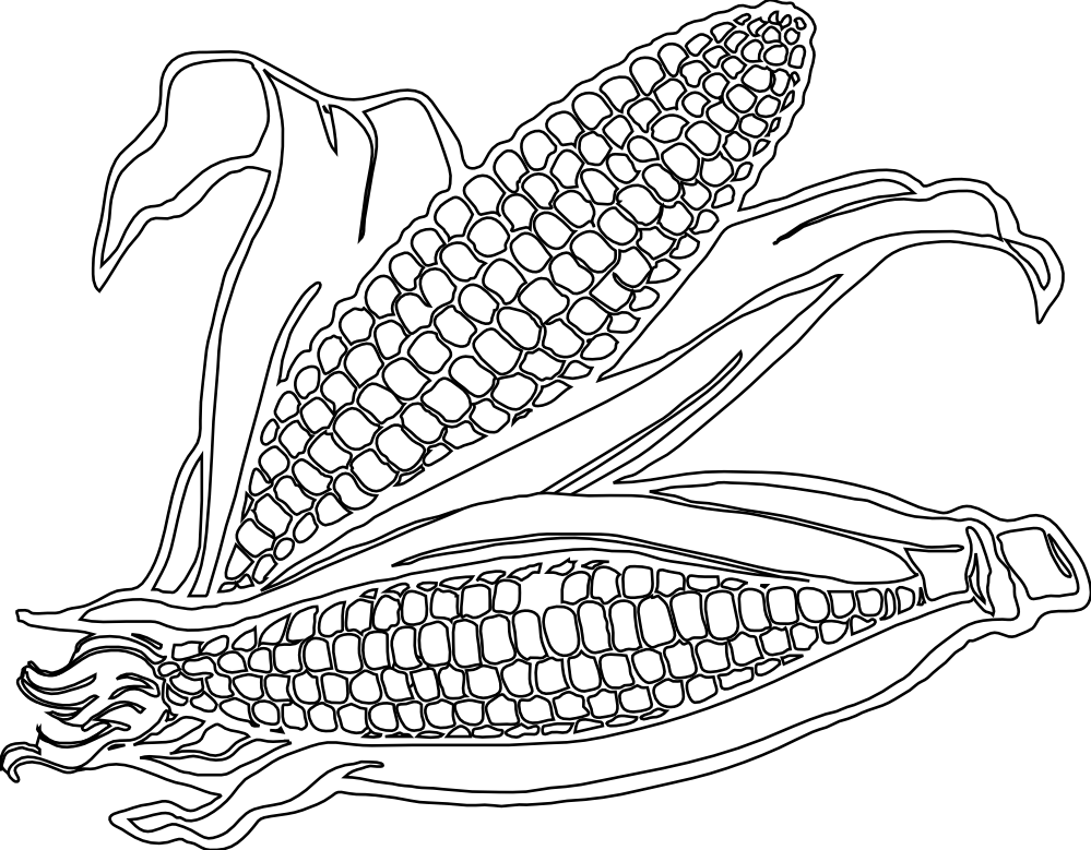 Corn Clipart Colouring Page.