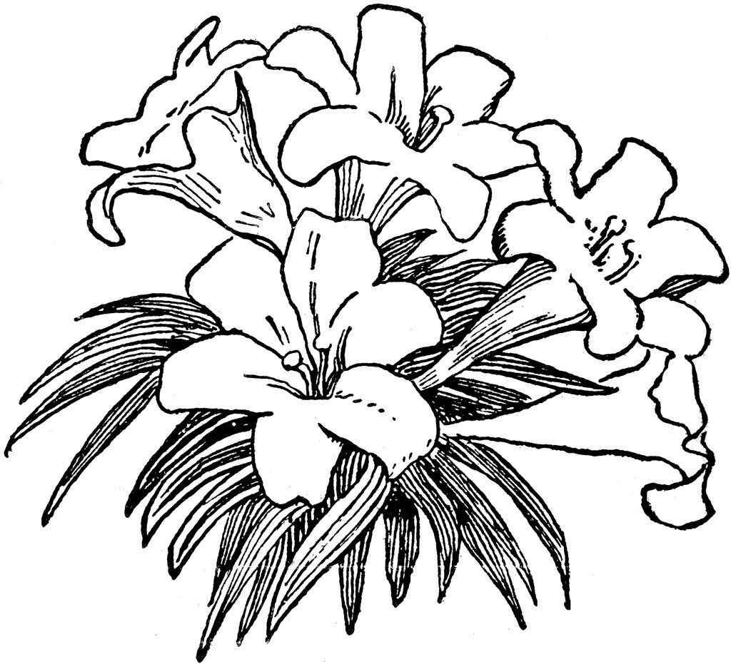 386 Flower Black And White free clipart.