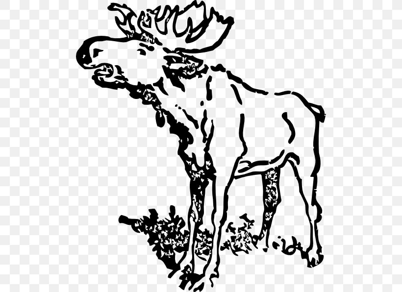 Moose Drawing Black And White Clip Art, PNG, 510x596px.