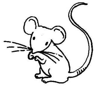 Free Mouse Clipart Black And White, Download Free Clip Art.