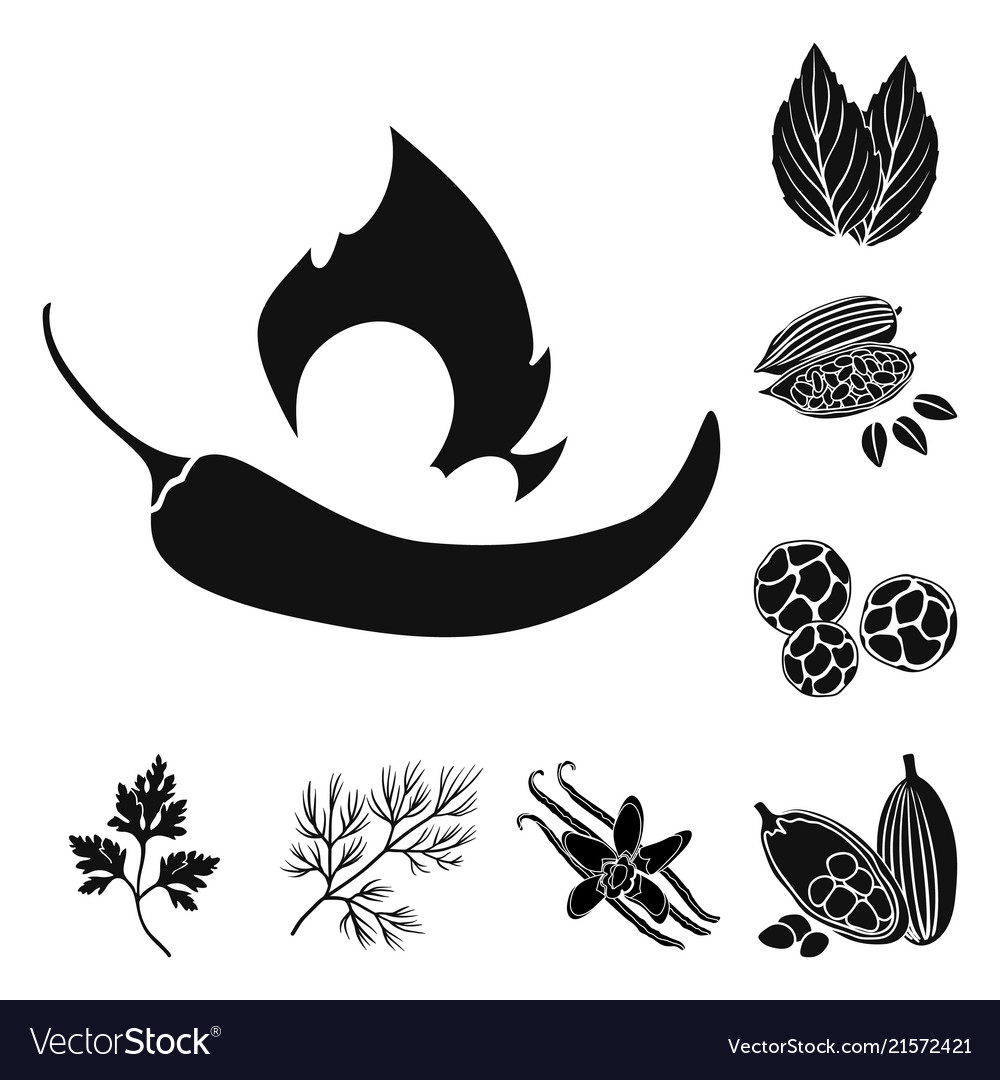 Herb and spices black icons in set collection for.