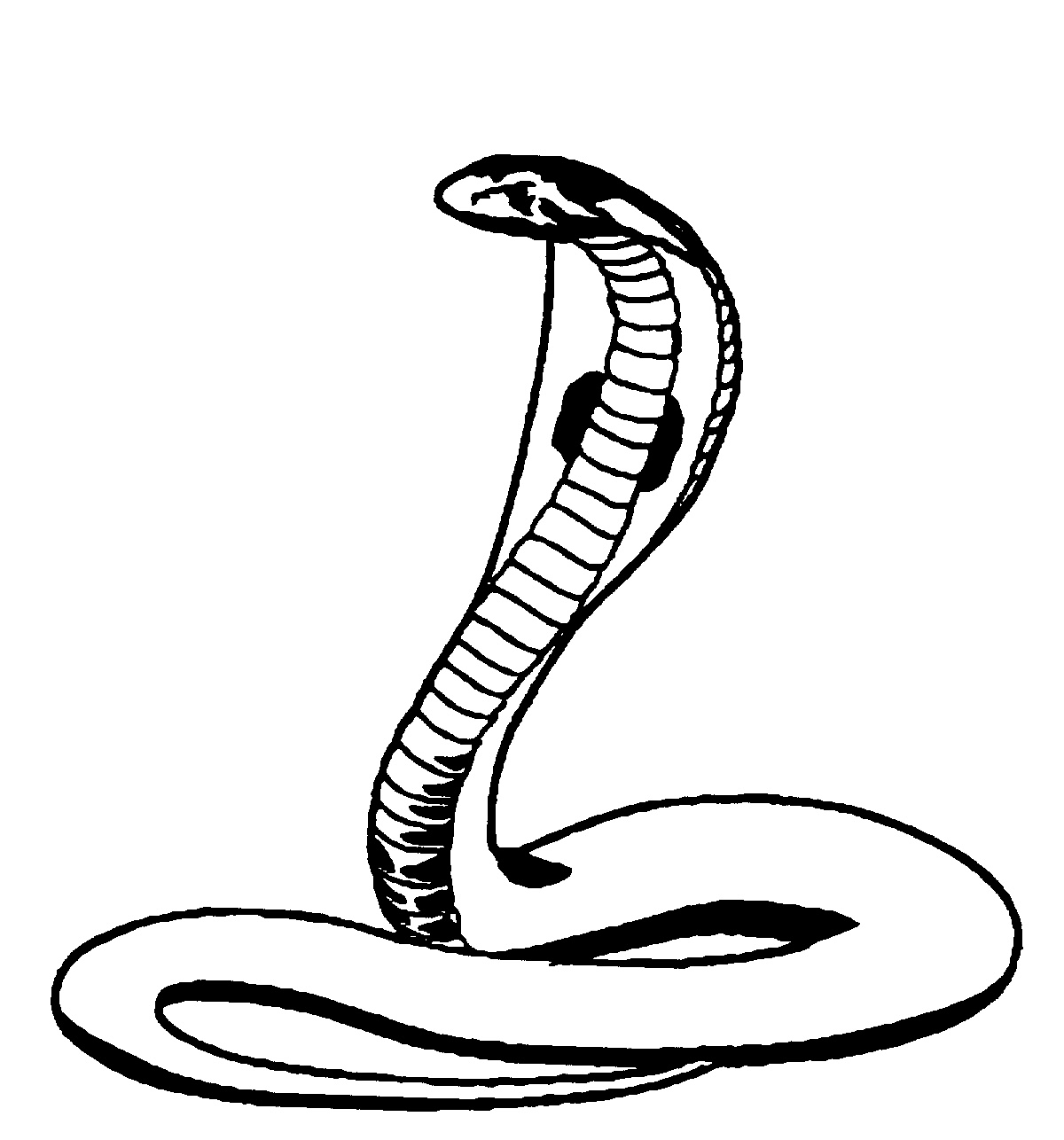 Free Cobra Cliparts Black, Download Free Clip Art, Free Clip.