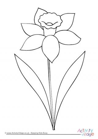 Daffodil clipart black and white 5 » Clipart Station.