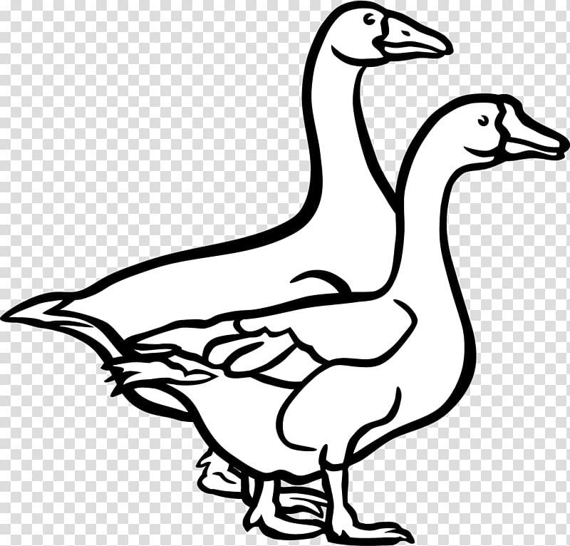 Goose Duck Bird Black and white , painted duck transparent.