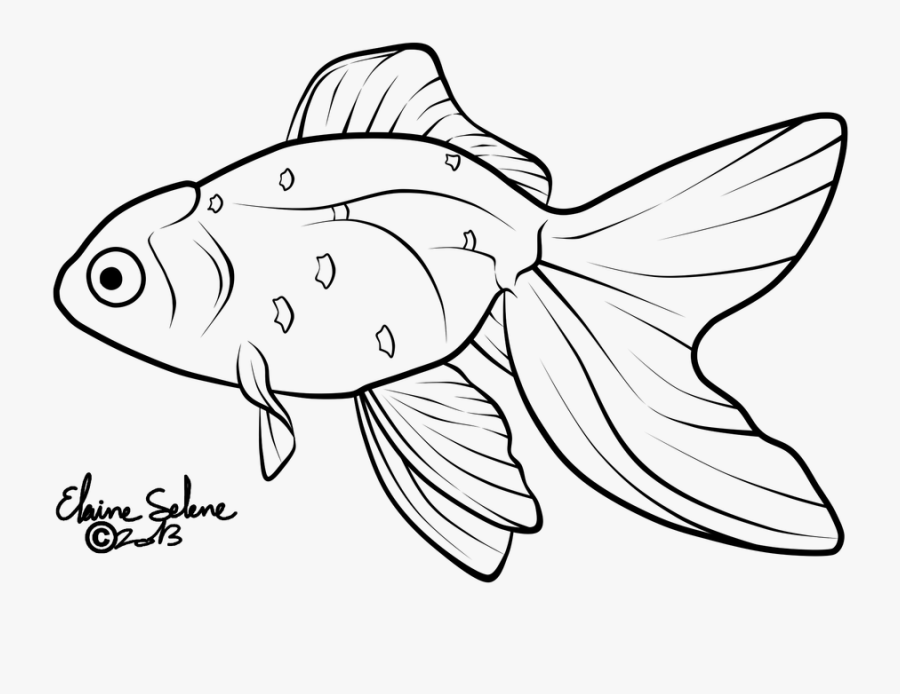 Goldfish Lineart Black And White.