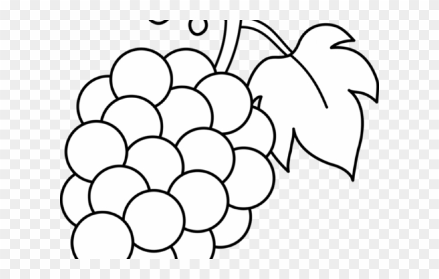 Grape Clipart Fruite.