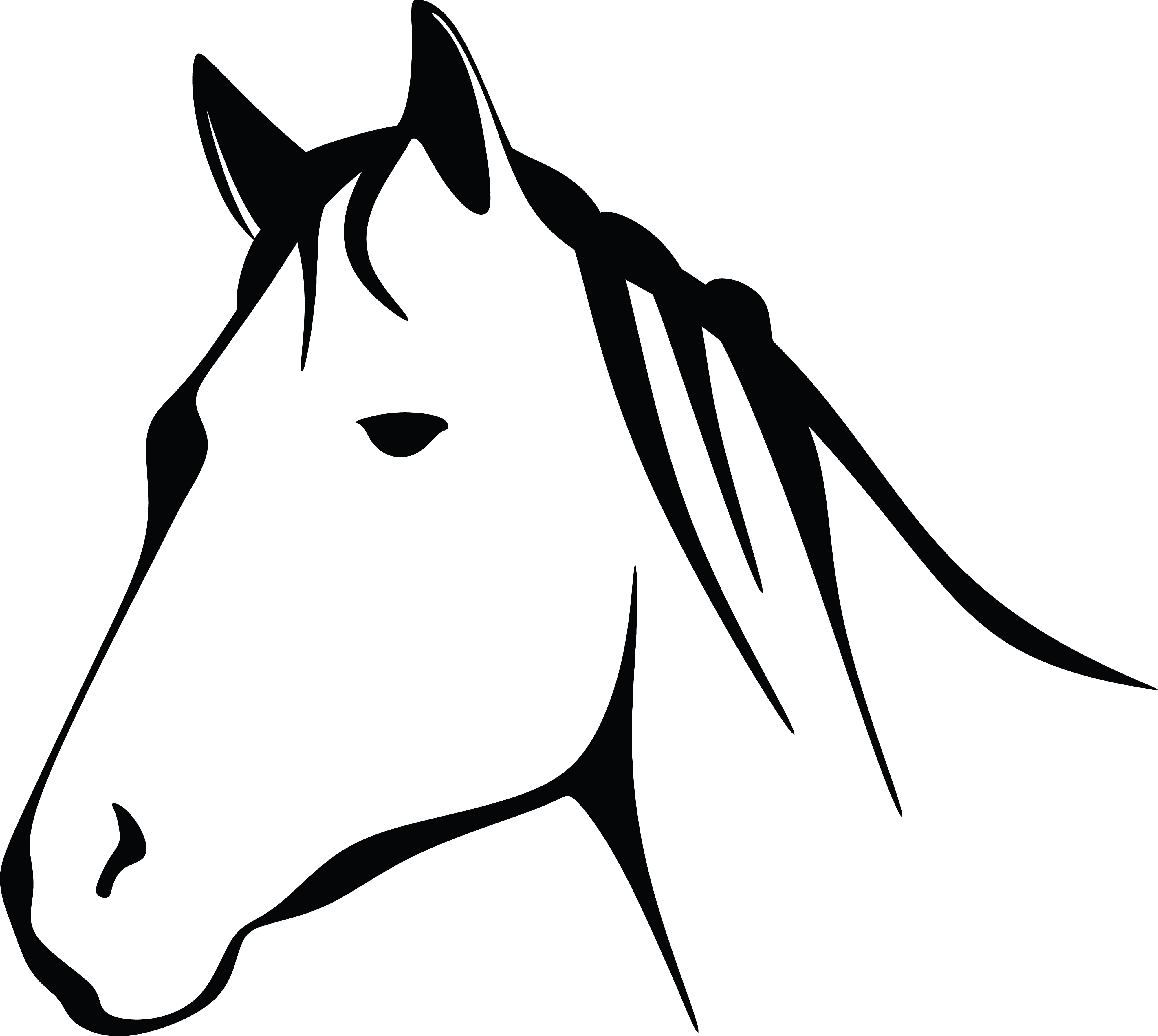 Free Clipart Of A black and white horse head.