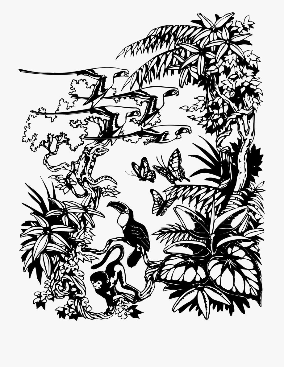 Jungle Clipart Black And White.