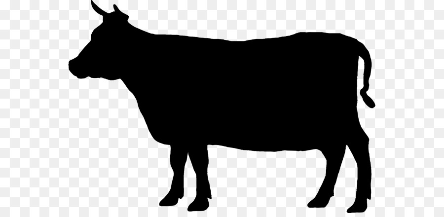 Free Black Angus Bull Silhouette, Download Free Clip Art.