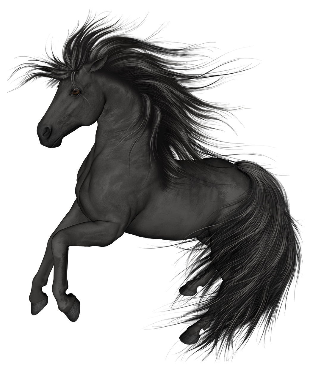 Black Horse PNG Clip Art.