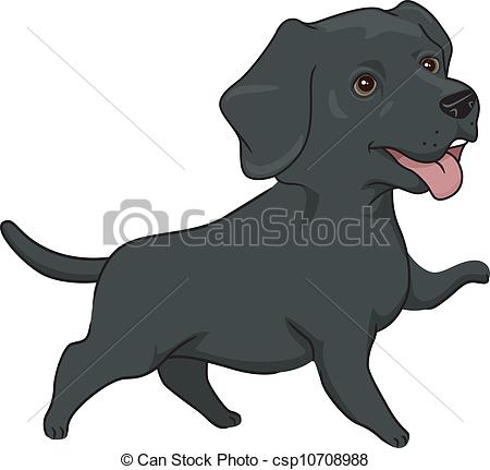 Labrador Retriever.