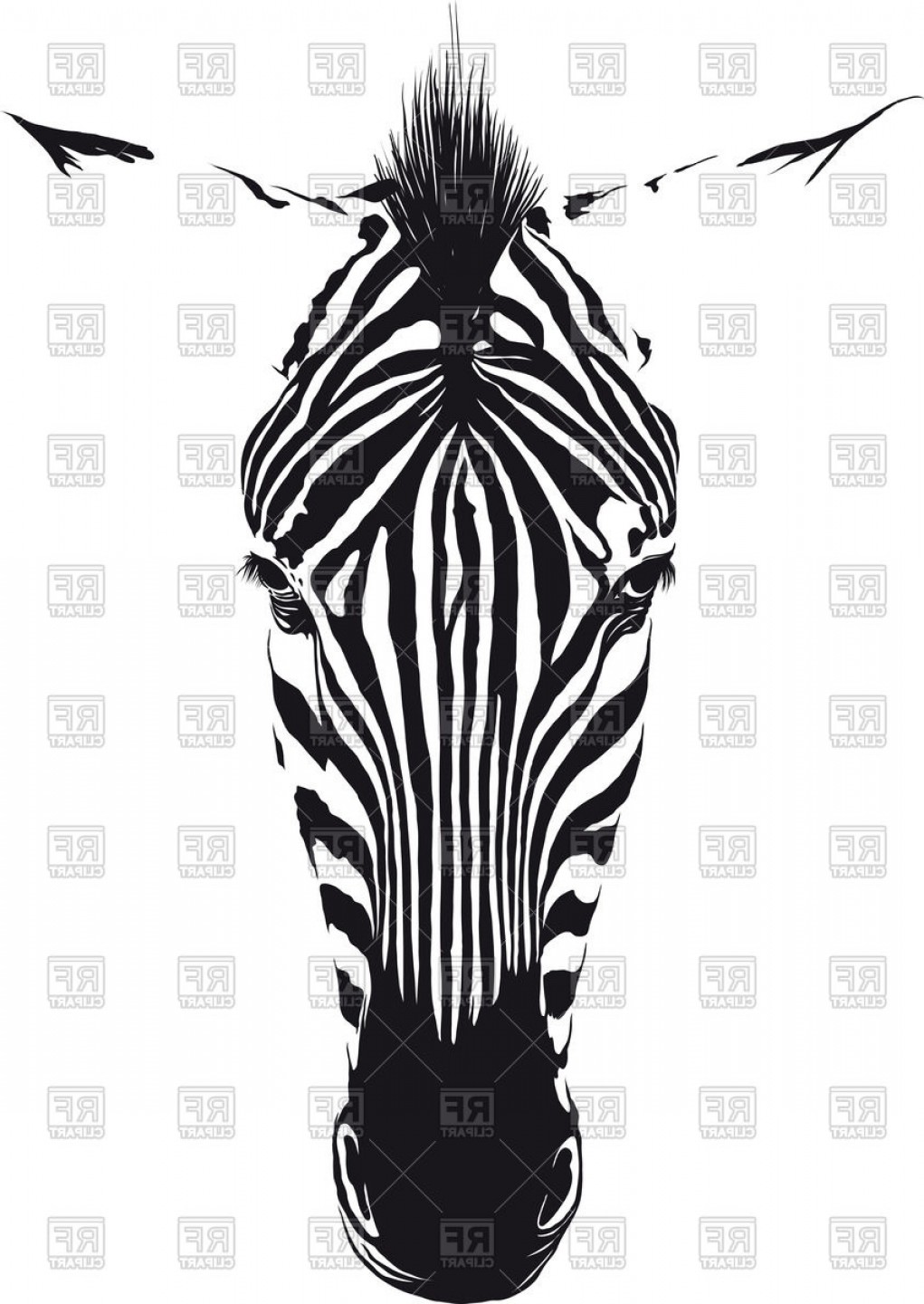 Zebra Head From The Front Consisting Of Black Lines On A White.