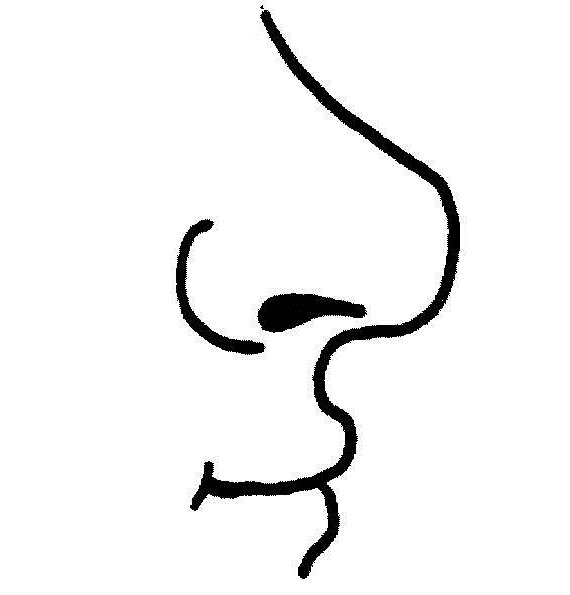 Human Nose Clipart Black And White.