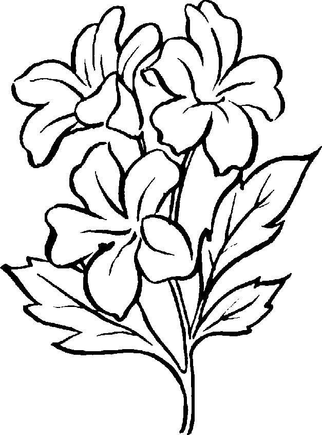 Free Black And White Plant, Download Free Clip Art, Free.