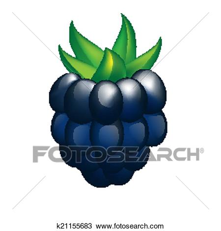 Blackberry Clipart.