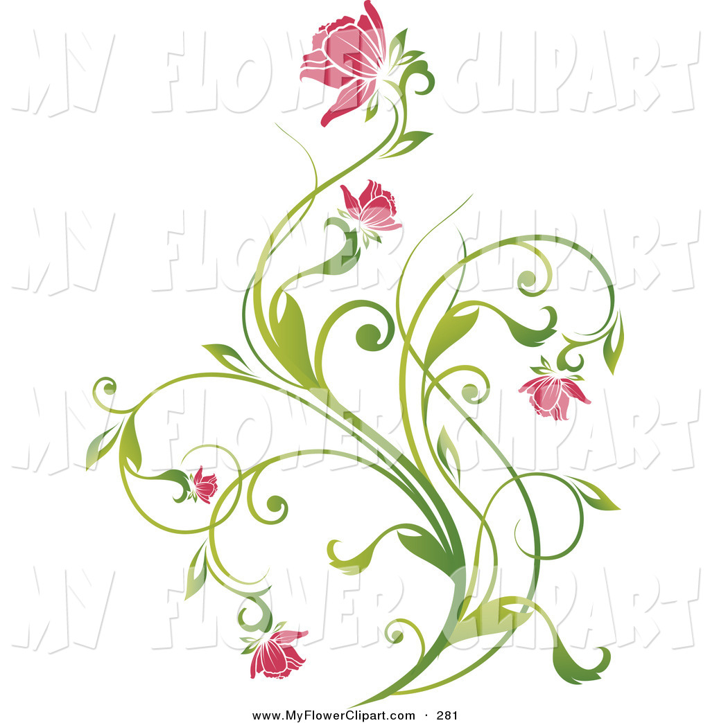 Clip Art of a Delicate Green Vine with Pink Blooming Flowers on a.