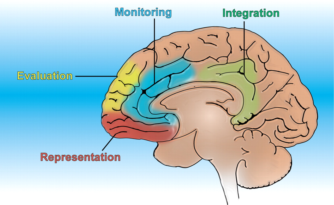 Showing post & media for Cartoon brain controlling body.