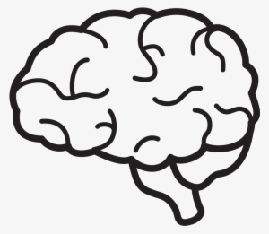 Brain Clipart PNG, Transparent Brain Clipart PNG Image Free Download.