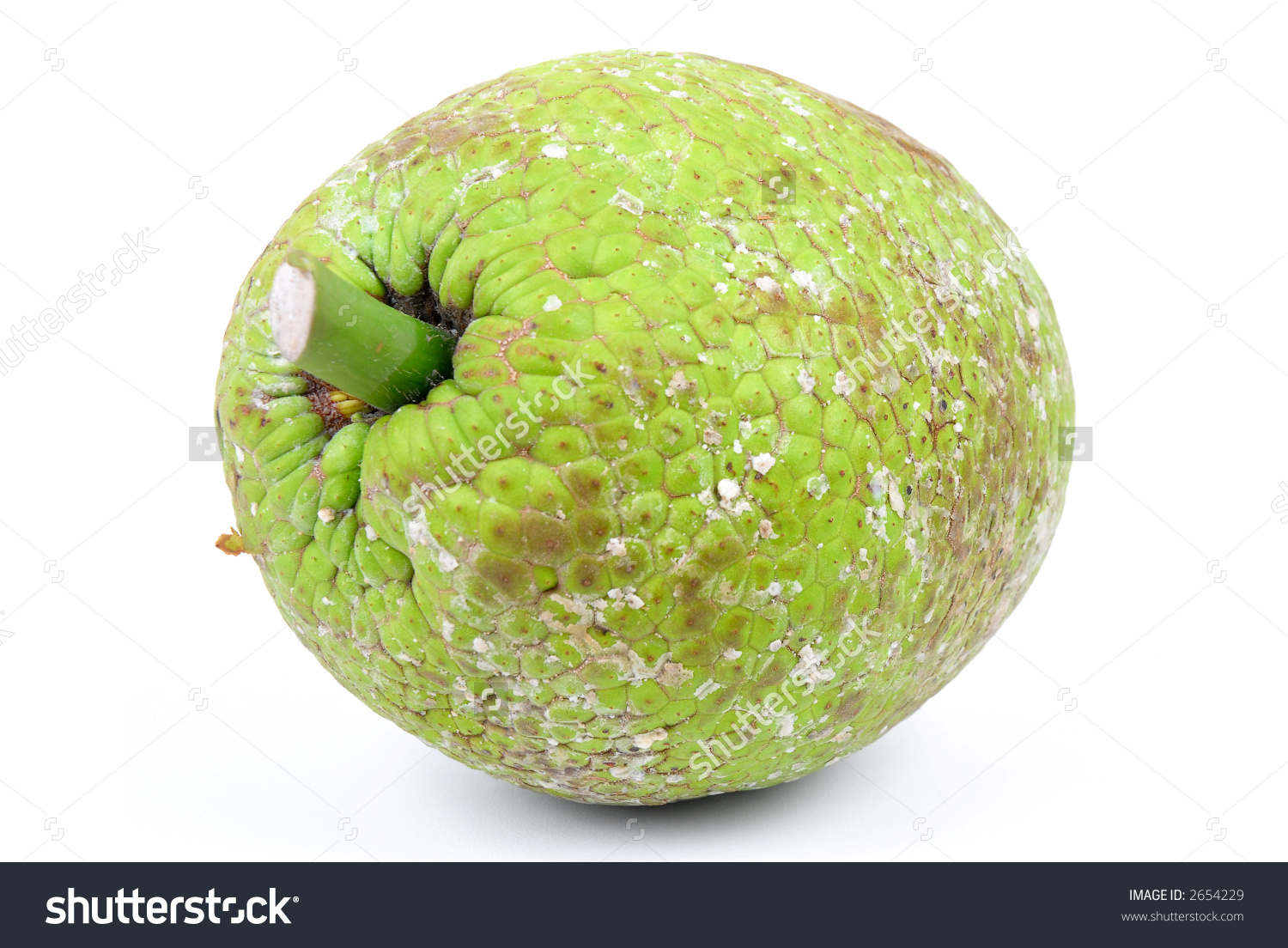 Breadfruit Artocarpus Altilis Over White Background Stock Photo.