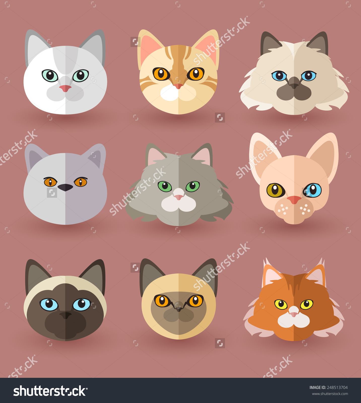 Cat Breeds Stock Vector 248513704.