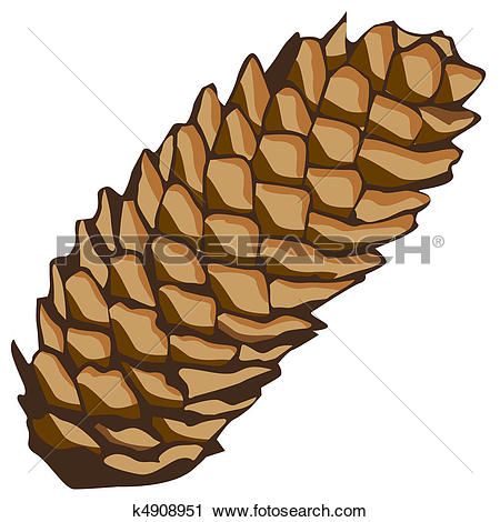 Clipart of spruce cone k4908951.