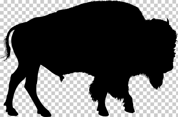 American bison Drawing , bison PNG clipart.