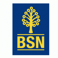 BSN.