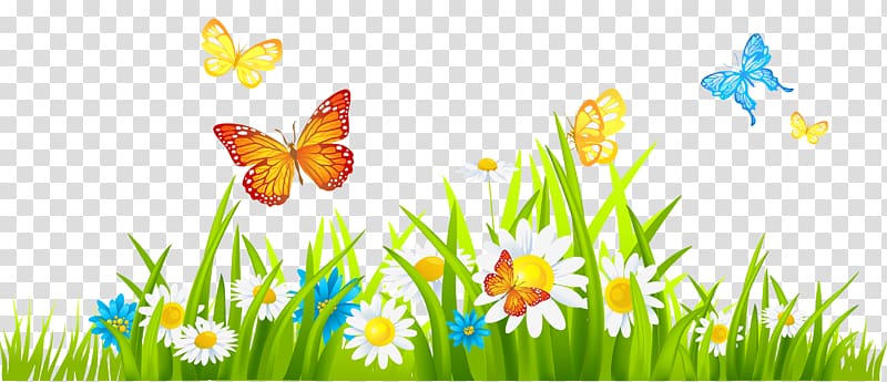 Flower , Grass Ground with Flowers and Butterflies.