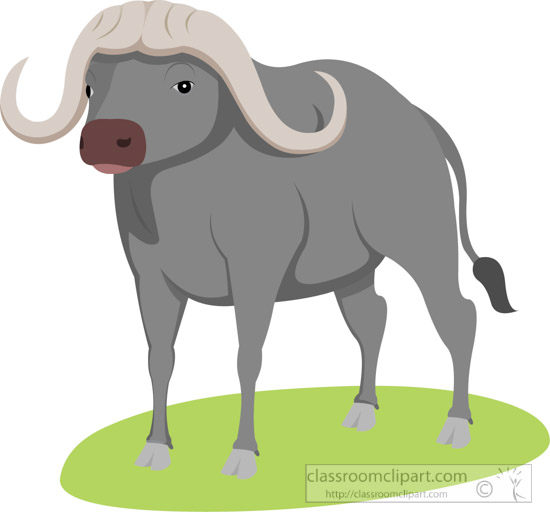 Free Buffalo Clipart.