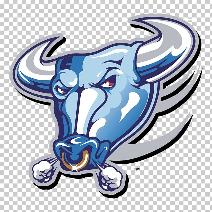 Buffalo Bulls football Buffalo Bills Logo, bull PNG clipart.