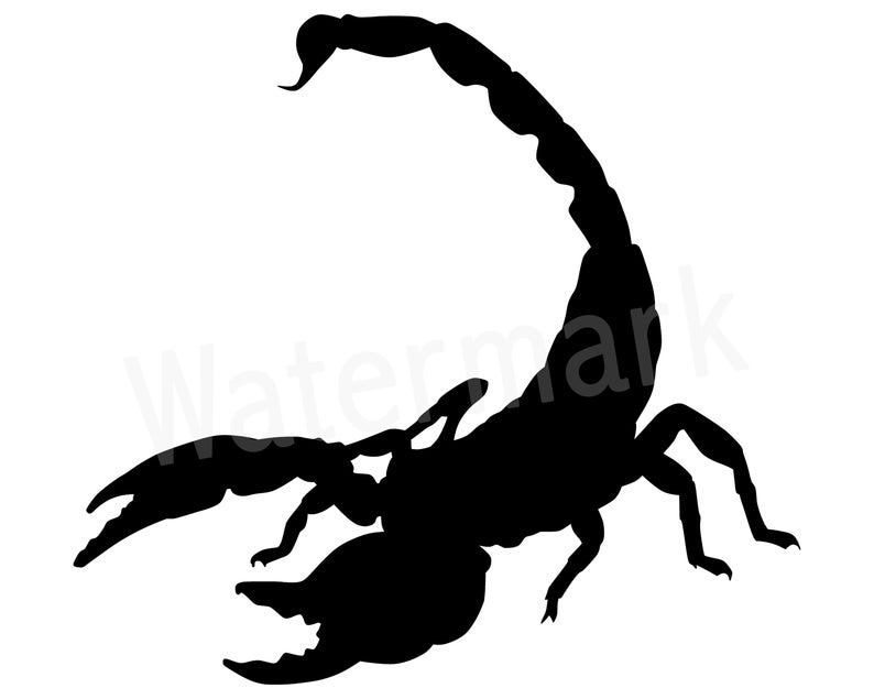 Scorpion SVG Silhouette Clipart, Insect Vector, Bug Image, Eight Legs,  Tattoo Vector, Instant Download, Commercial Use.