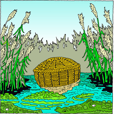 Image: She took for him an ark of bulrushes and laid it in the.