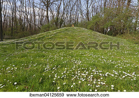 Stock Photograph of Late Bronze Age burial mounds in the.