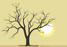 Burning Bush Banner Stock Illustrations, Vectors, & Clipart.