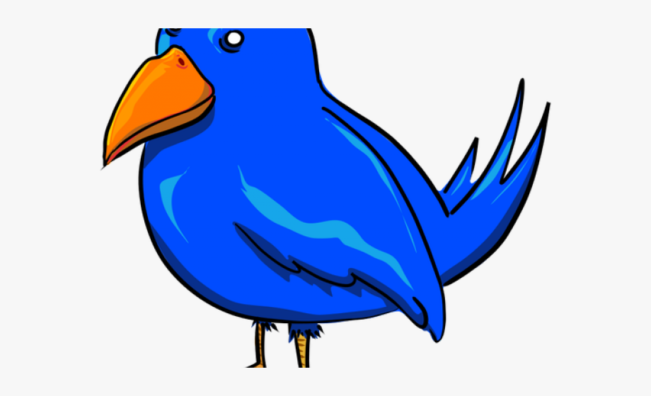 Pigeon Clipart Burung.