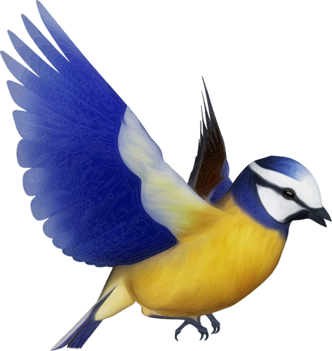 Gambar burung png 3 » PNG Image.